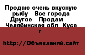 Продаю очень вкусную рыбу - Все города Другое » Продам   . Челябинская обл.,Куса г.